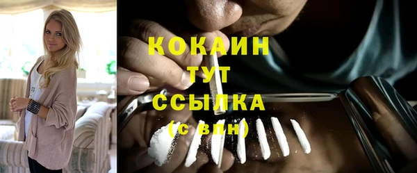 дживик Майский