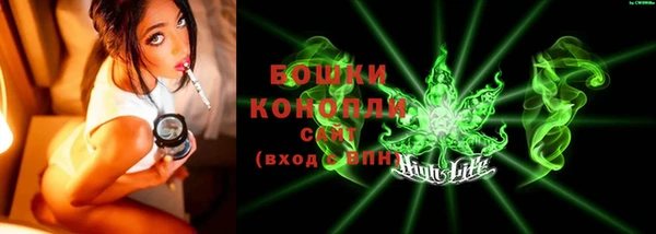 дживик Майский