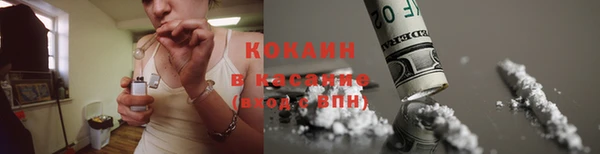 дживик Майский