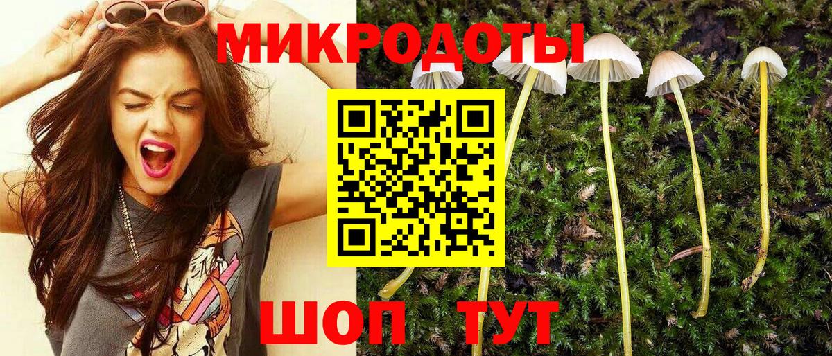 Псилоцибиновые грибы GOLDEN TEACHER  Вход с VPN  Мегион 