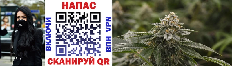 Бошки Шишки Bruce Banner  Мегион 